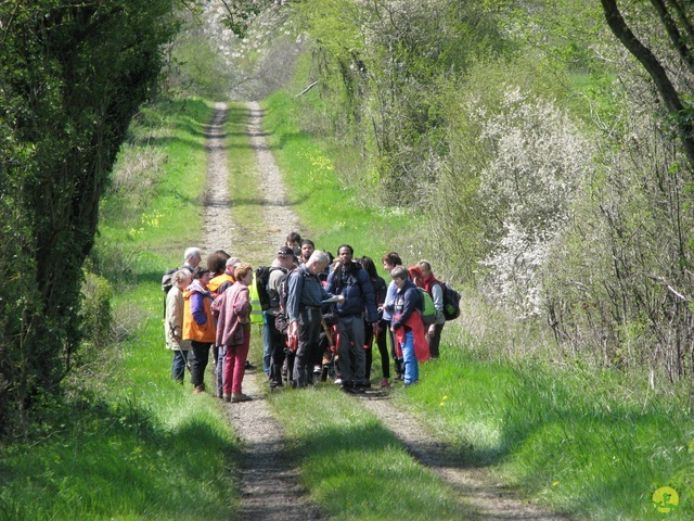 Randonnée joëlettes à Cerfontaine