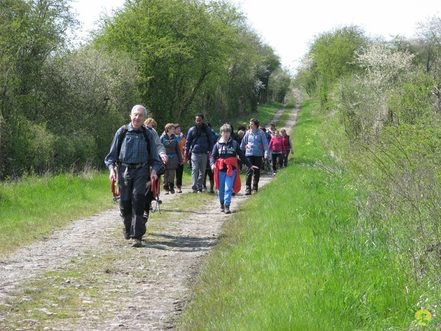 Randonnée joëlettes à Cerfontaine