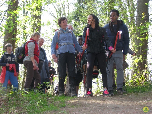 Randonnée joëlettes à Cerfontaine