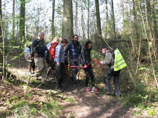 Randonnée joëlettes à Cerfontaine