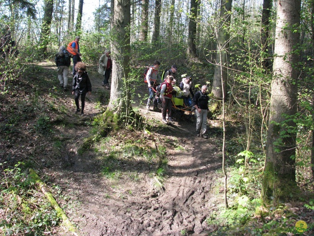 Randonnée joëlettes à Cerfontaine