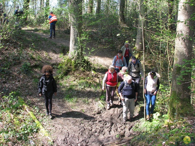 Randonnée joëlettes à Cerfontaine