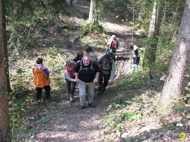 Randonnée joëlettes à Cerfontaine