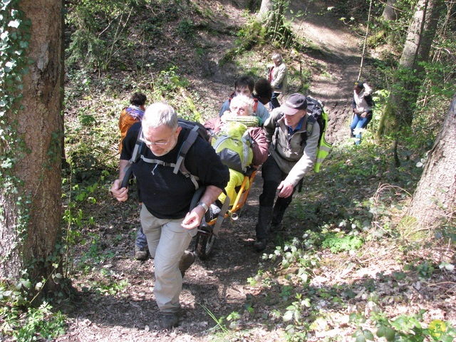 Randonnée joëlettes à Cerfontaine