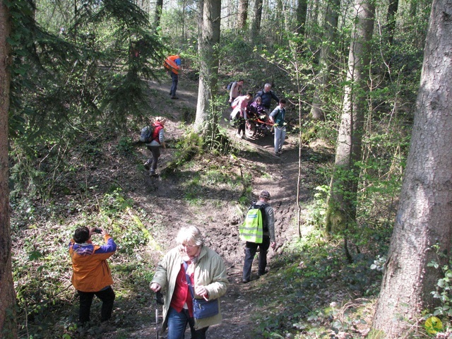 Randonnée joëlettes à Cerfontaine