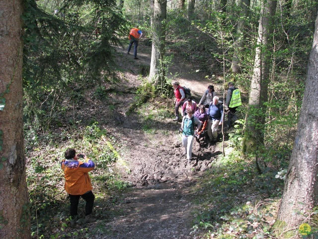 Randonnée joëlettes à Cerfontaine