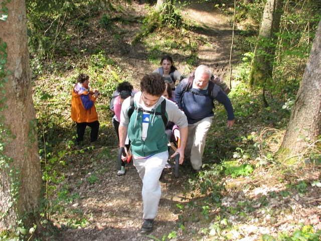 Randonnée joëlettes à Cerfontaine