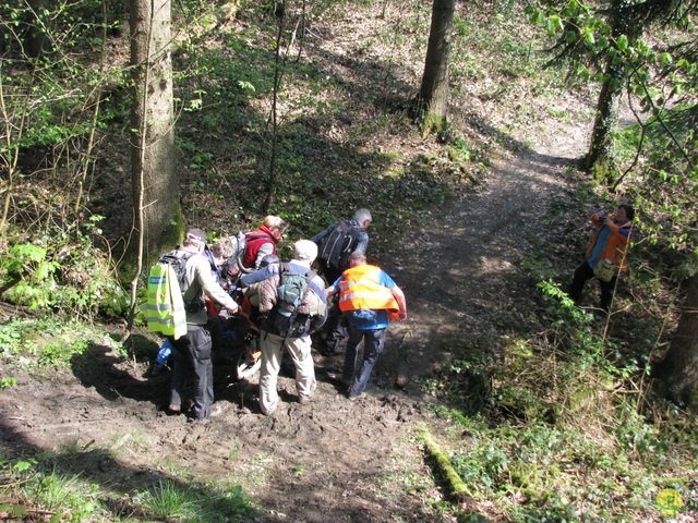 Randonnée joëlettes à Cerfontaine