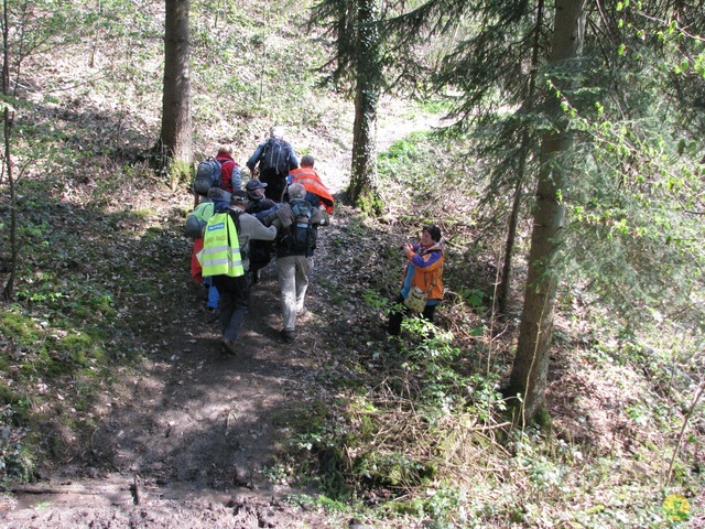 Randonnée joëlettes à Cerfontaine