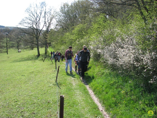 Randonnée joëlettes à Cerfontaine