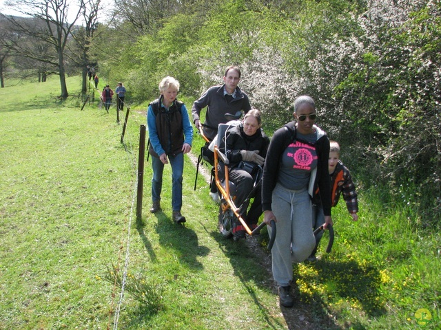 Randonnée joëlettes à Cerfontaine