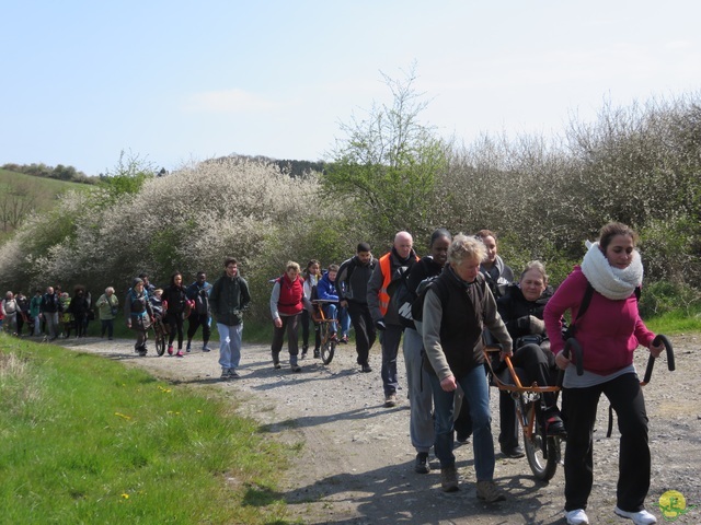 Randonnée joëlettes à Cerfontaine