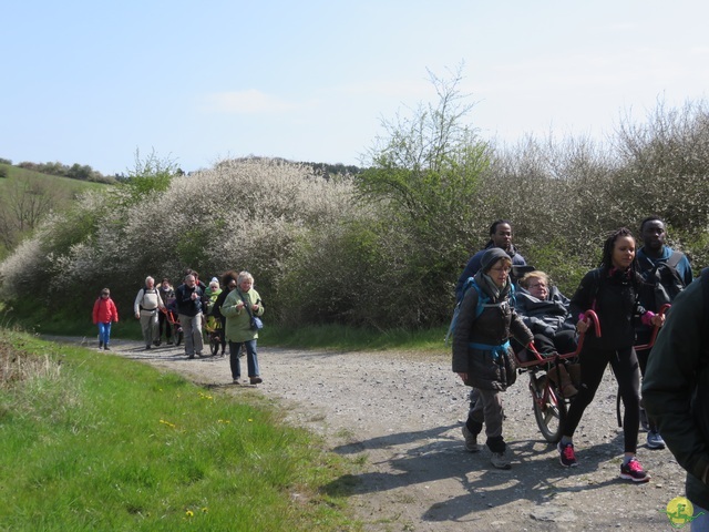 Randonnée joëlettes à Cerfontaine