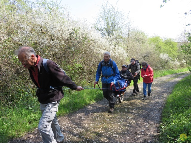 Randonnée joëlettes à Cerfontaine