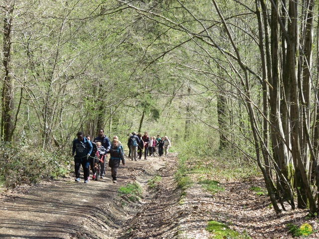 Randonnée joëlettes à Cerfontaine