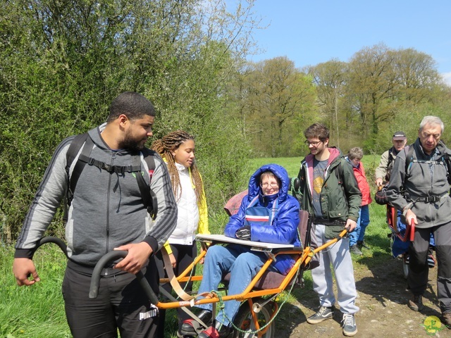 Randonnée joëlettes à Cerfontaine