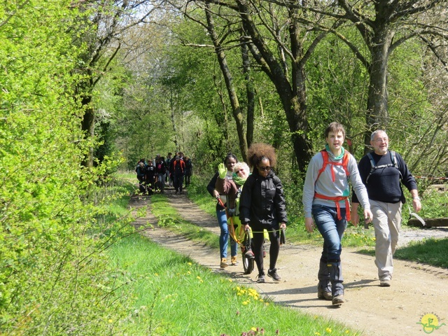 Randonnée joëlettes à Cerfontaine