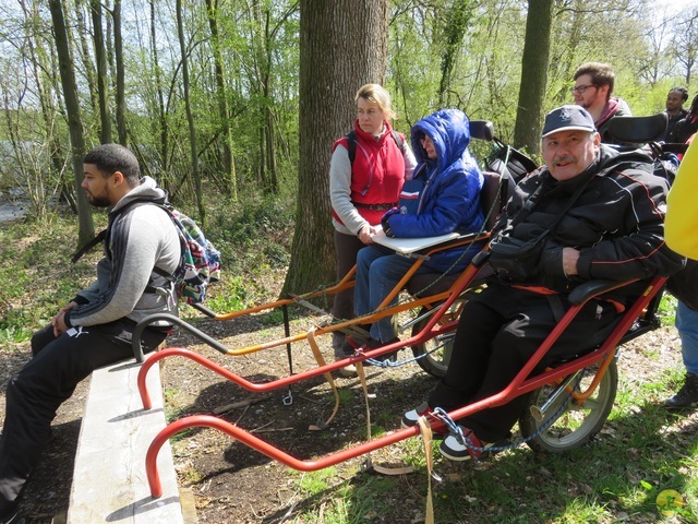 Randonnée joëlettes à Cerfontaine