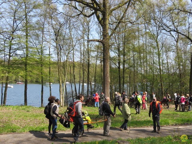 Randonnée joëlettes à Cerfontaine