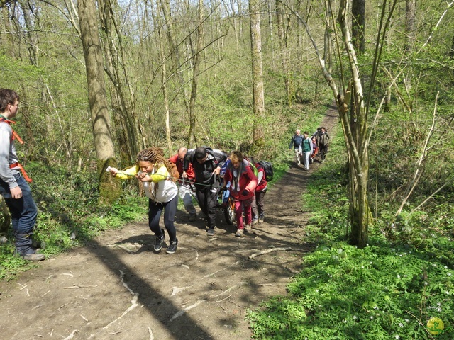 Randonnée joëlettes à Cerfontaine