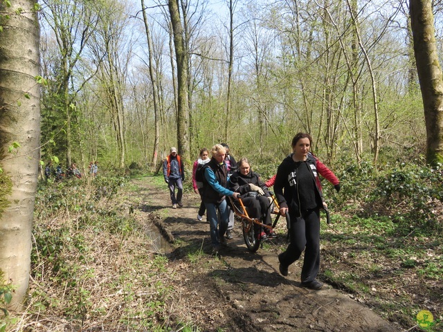 Randonnée joëlettes à Cerfontaine