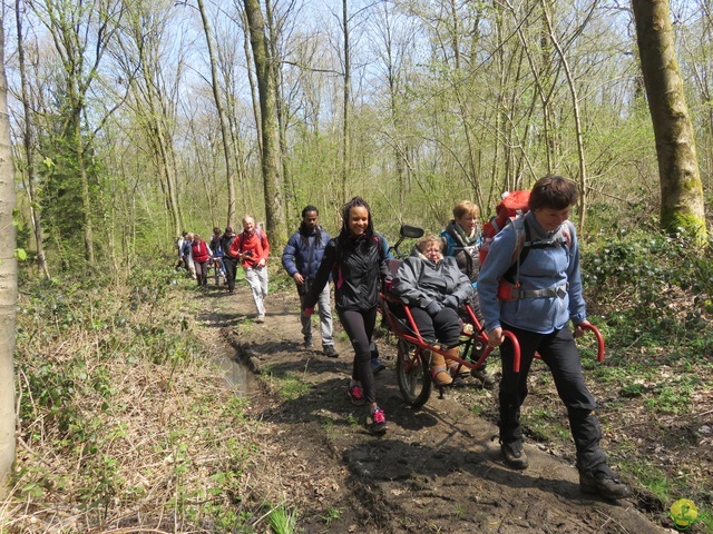 Randonnée joëlettes à Cerfontaine