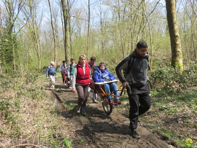 Randonnée joëlettes à Cerfontaine