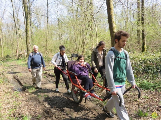 Randonnée joëlettes à Cerfontaine