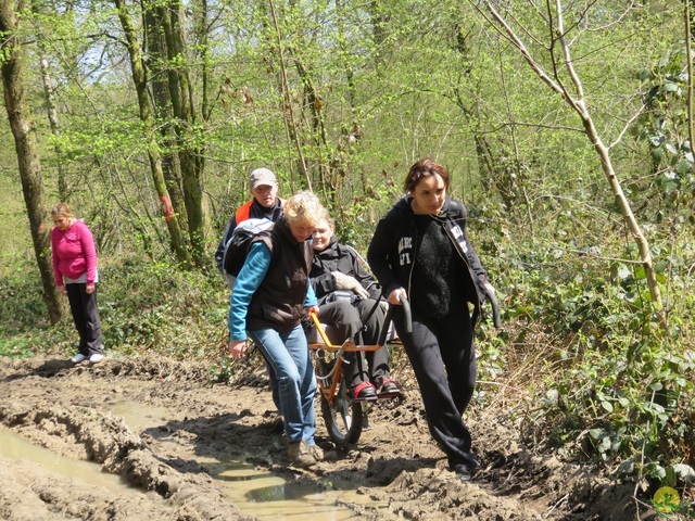 Randonnée joëlettes à Cerfontaine