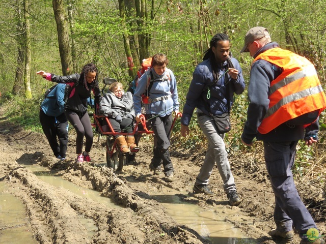 Randonnée joëlettes à Cerfontaine