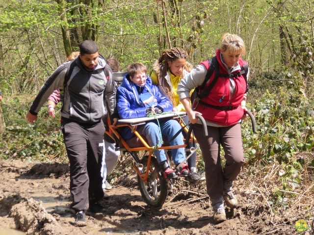 Randonnée joëlettes à Cerfontaine