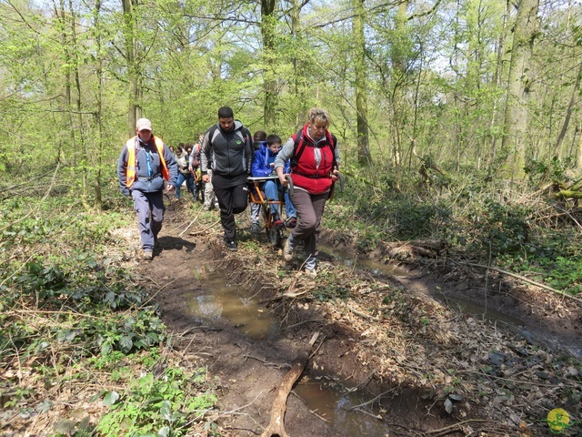 Randonnée joëlettes à Cerfontaine