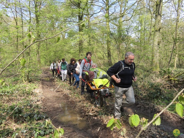 Randonnée joëlettes à Cerfontaine