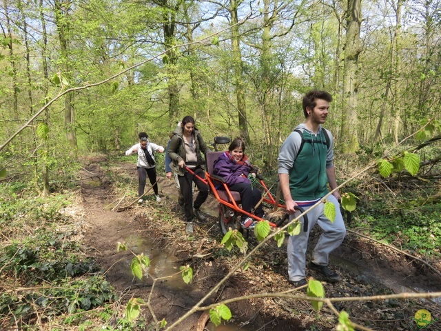 Randonnée joëlettes à Cerfontaine