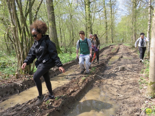 Randonnée joëlettes à Cerfontaine