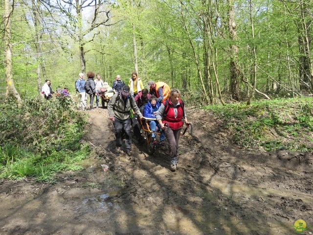 Randonnée joëlettes à Cerfontaine