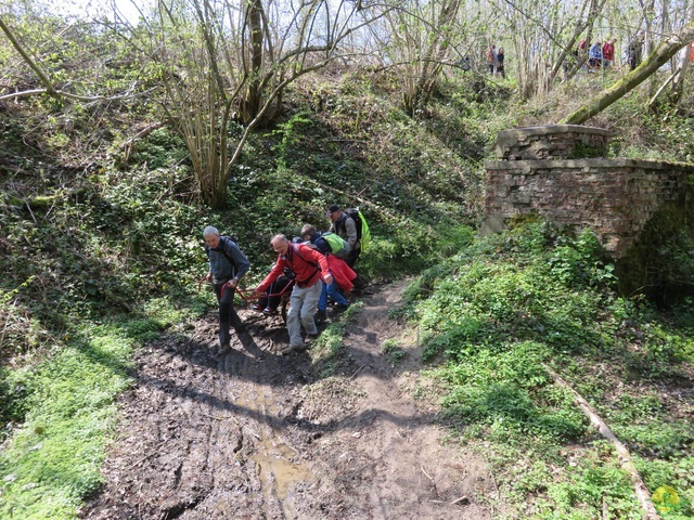 Randonnée joëlettes à Cerfontaine