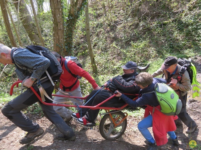 Randonnée joëlettes à Cerfontaine