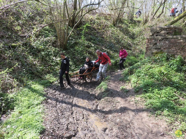 Randonnée joëlettes à Cerfontaine