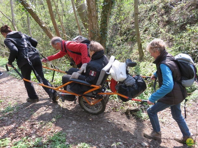 Randonnée joëlettes à Cerfontaine