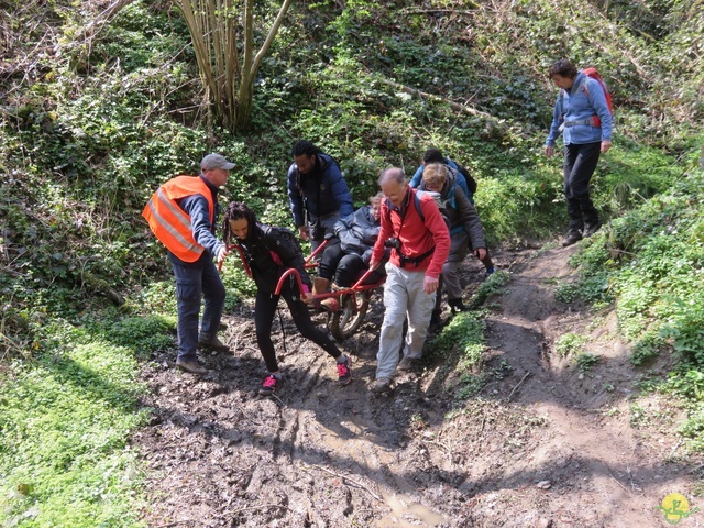 Randonnée joëlettes à Cerfontaine