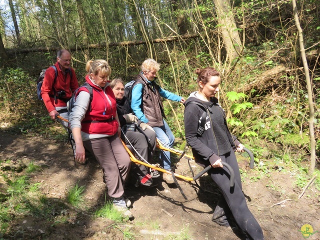 Randonnée joëlettes à Cerfontaine