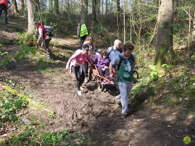 Randonnée joëlettes à Cerfontaine