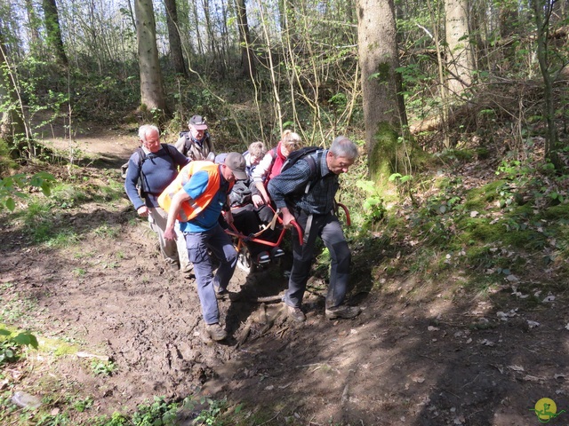 Randonnée joëlettes à Cerfontaine