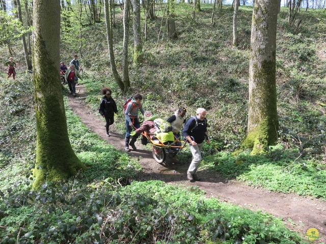 Randonnée joëlettes à Cerfontaine