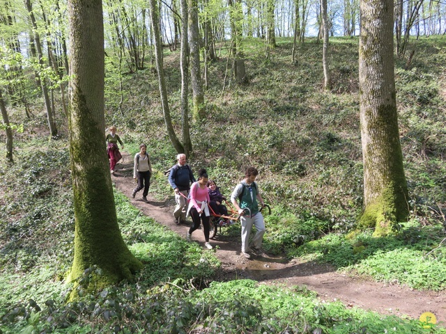 Randonnée joëlettes à Cerfontaine