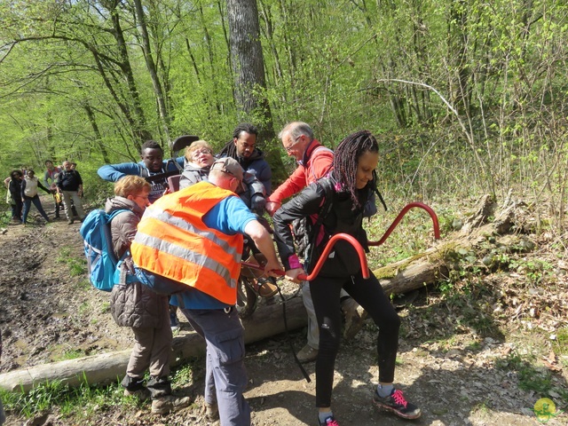 Randonnée joëlettes à Cerfontaine