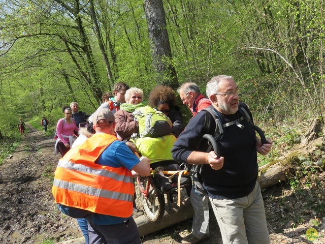 Randonnée joëlettes à Cerfontaine