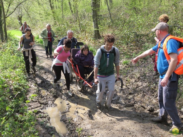 Randonnée joëlettes à Cerfontaine