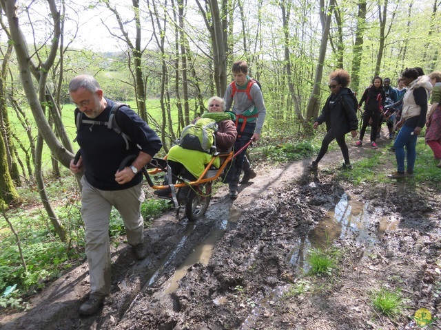 Randonnée joëlettes à Cerfontaine